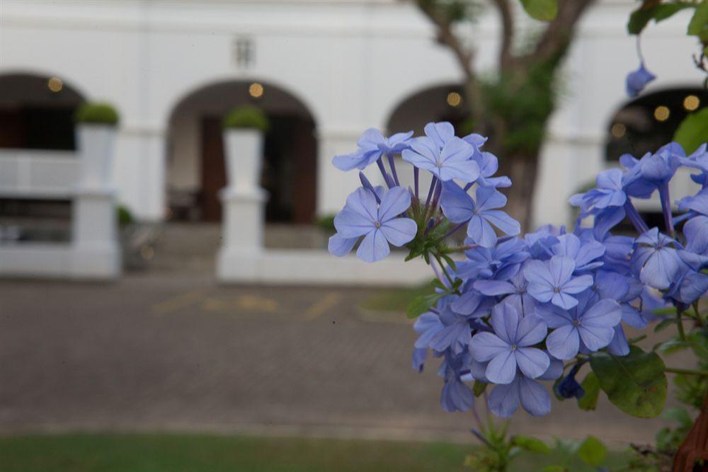 Tamarind Hill Ξενοδοχείο Galle Εξωτερικό φωτογραφία